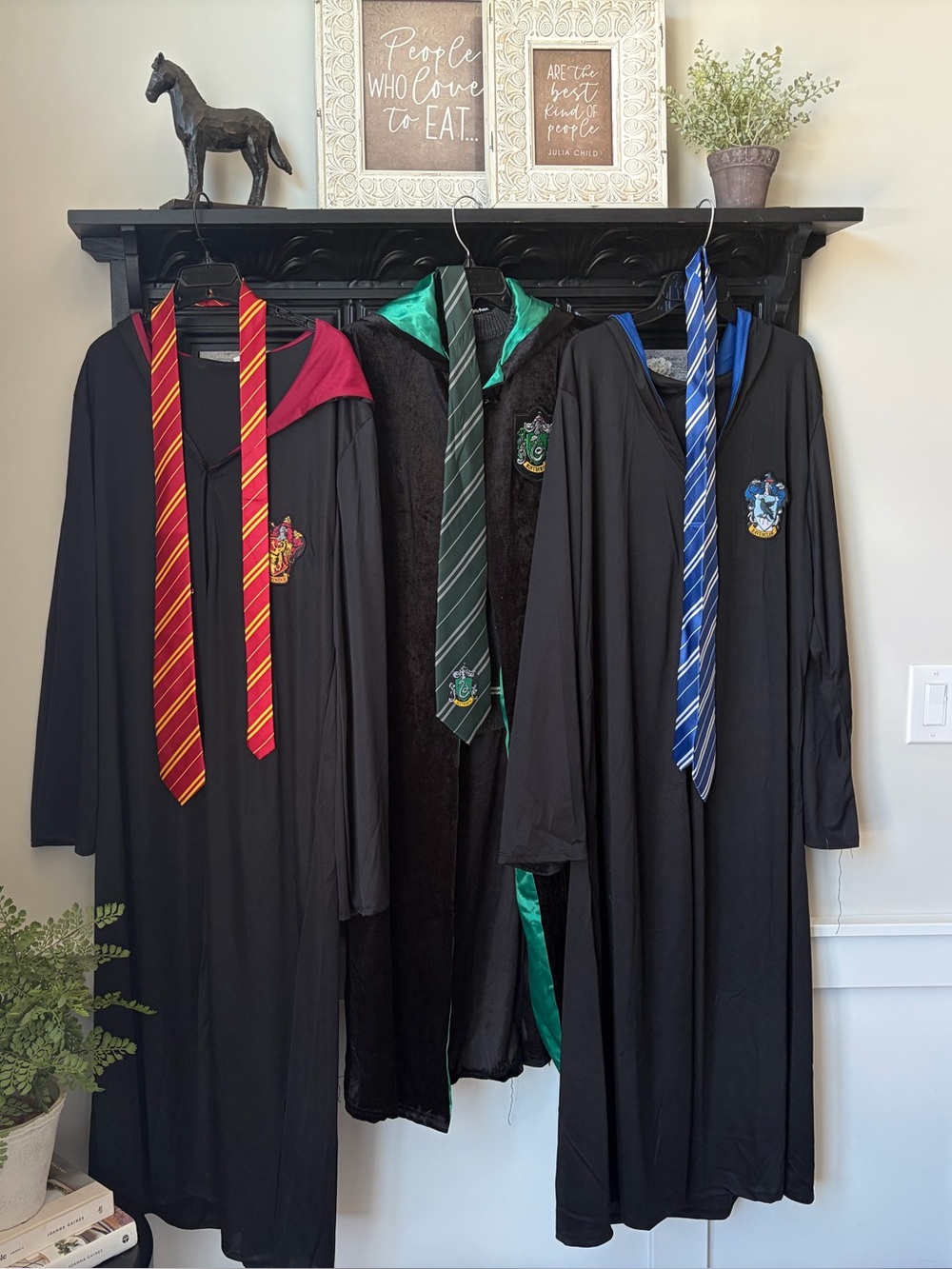Harry Potter Adult House Costumes
